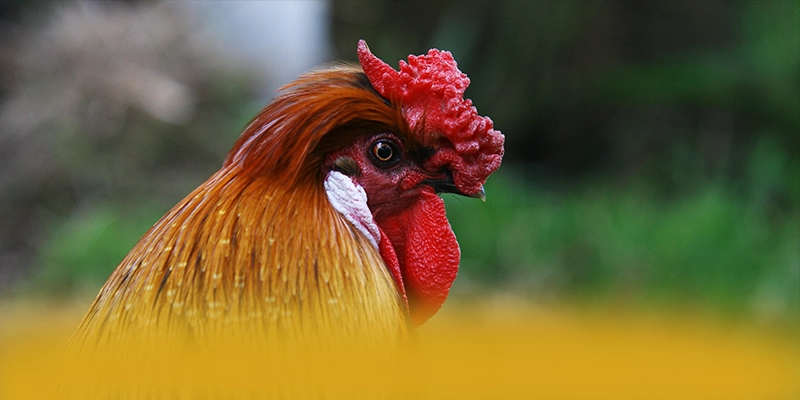 Giới thiệu SUNWIN - Thương hiệu an toàn tuyệt đối được giới cược thủ tin tưởng
Giới thiệu SUNWIN - Thương hiệu an toàn tuyệt đối được giới cược thủ tin tưởng