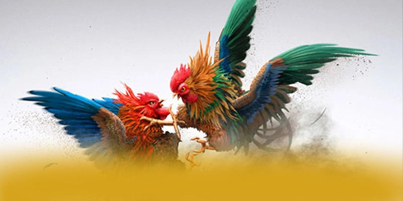 SUNWIN - Thương hiệu game trực tuyến đang làm mưa làm gió được giới cược thủ tin tưởng – Trải nghiệm SUNWIN SUNWIN - Thương hiệu game trực tuyến đang làm mưa làm gió được giới cược thủ tin tưởng – Trải nghiệm SUNWIN